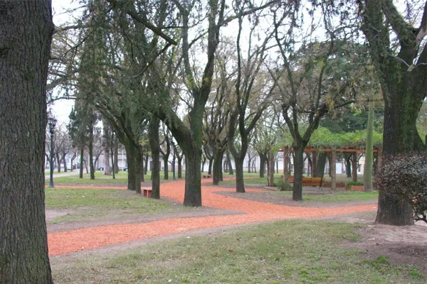 Arbol