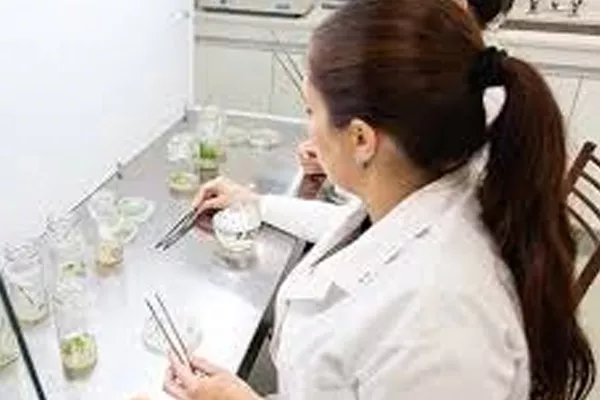 General Alvear apuesta por la educación y se afianza como Polo biotecnológico