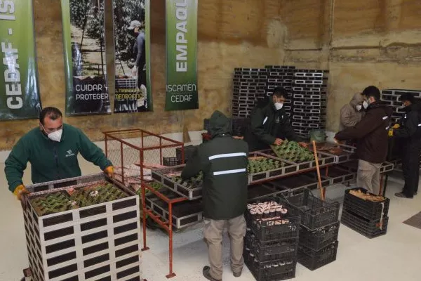 General Alvear apuesta por la educación y se afianza como Polo biotecnológico
