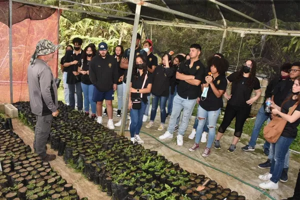 Caguas. Agricultura Urbana