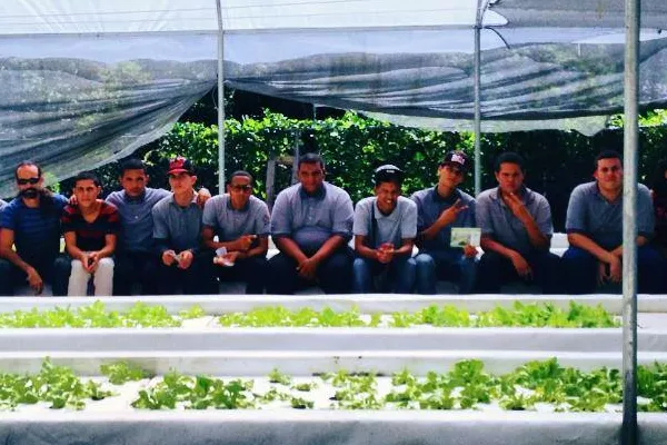 Caguas. Agricultura Urbana
