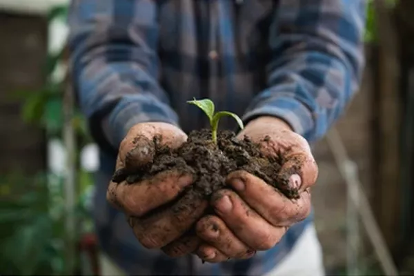 Día Mundial del medioambiente
